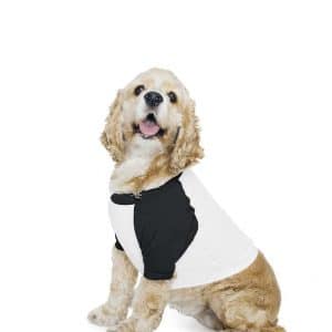 American Apparel DOG POLY-COTTON 3/4 SLEEVE RAGLAN T-SHIRT Pólók/T-Shirt