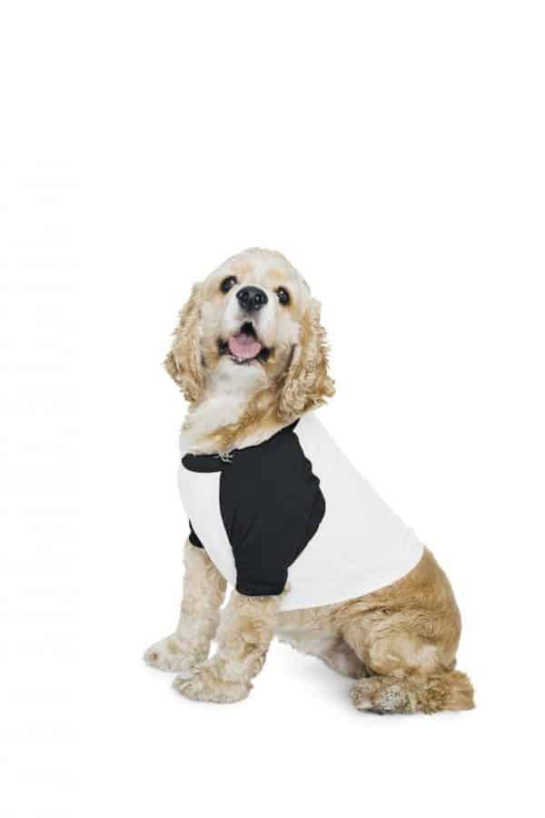 American Apparel DOG POLY-COTTON 3/4 SLEEVE RAGLAN T-SHIRT Pólók/T-Shirt