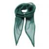 Bottle Premier 'COLOURS COLLECTION' PLAIN CHIFFON SCARF Formaruhák