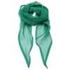 Emerald Premier 'COLOURS COLLECTION' PLAIN CHIFFON SCARF Formaruhák